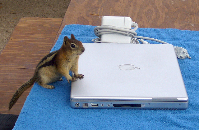 Jabuka na dan: Dobivanje maksimuma od starijih MacBooks čipsa