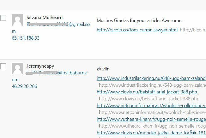 Postavite svoj blog pomoću WordPress-a: The Ultimate Guide spam