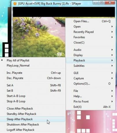 Splayer - prijenosni Play-All Media Player za Windows 4