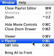 flash video player