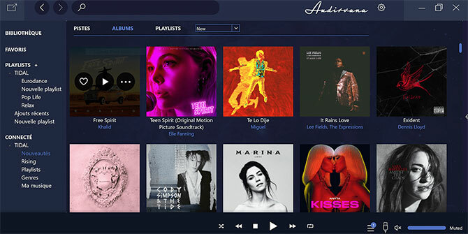 Audirvana music player