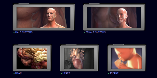 3D-anatomije-modeli-3dscience