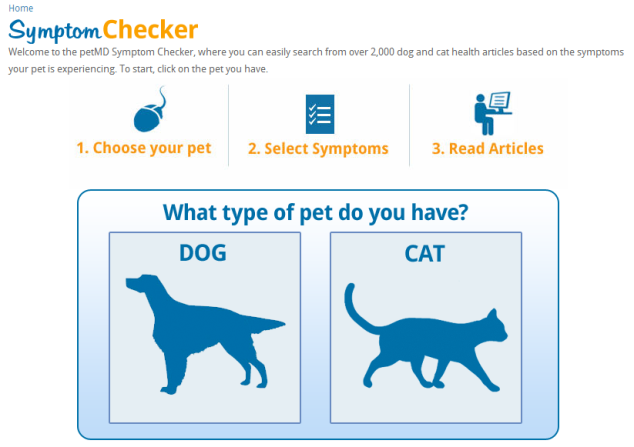 petmd-simptom provjeru