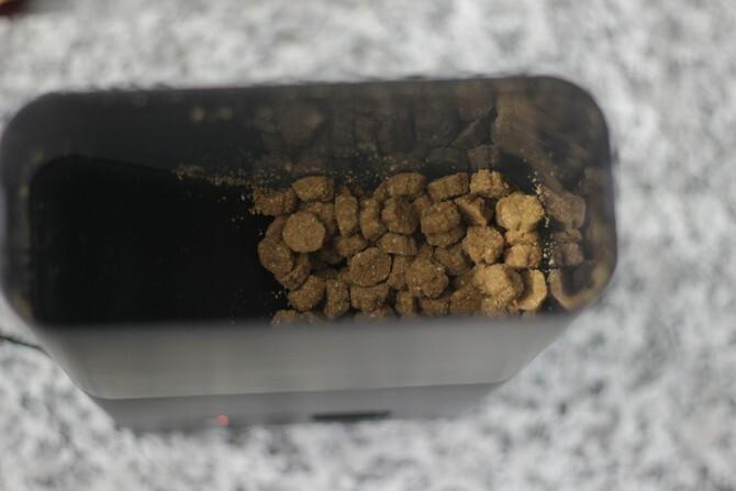 Pregled ugriza Petcube: Nikad više ne ostavljajte svoje ljubimce PetcubeBites2