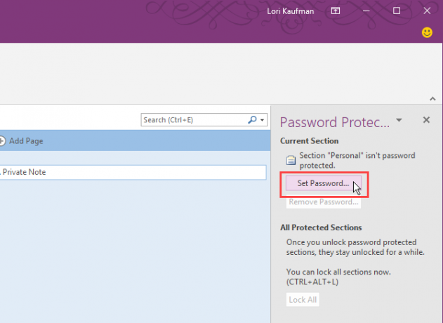 Kliknite Postavi lozinku u programu OneNote 2016