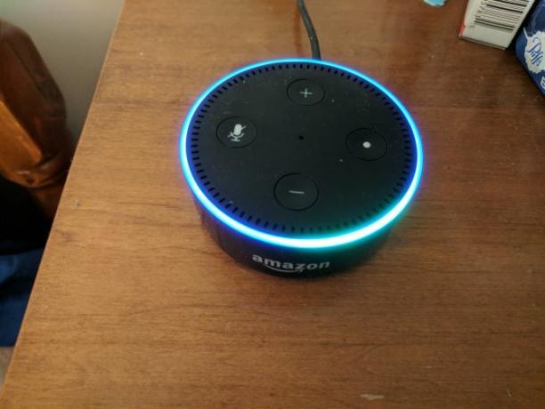 Kako postaviti i koristiti svoj Amazon Echo Dot 02 Echo Dot Postavljanje svjetla