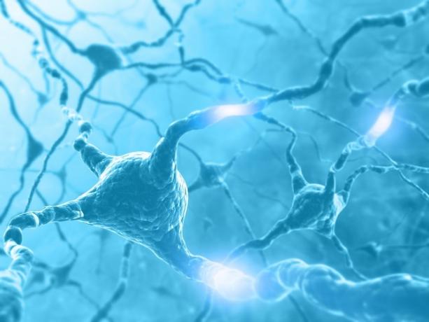 Računalo generirana slika neurona i neuronskih puteva