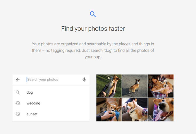Snimka zaslona web stranice Google Photos koja opisuje identifikaciju fotografije