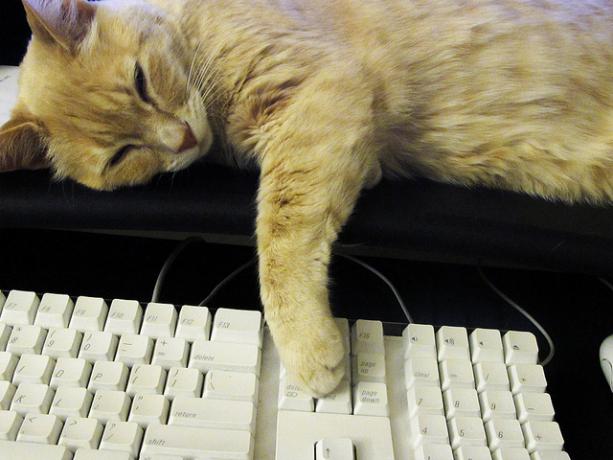 Sleepy računarstvo