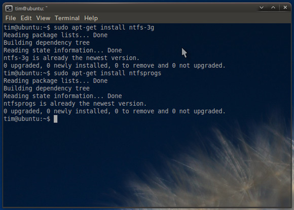 ubuntu popravljajući ntfs datotečni sustav