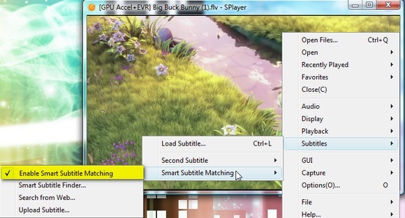 Splayer - prijenosni Play-All Media Player za Windows 6