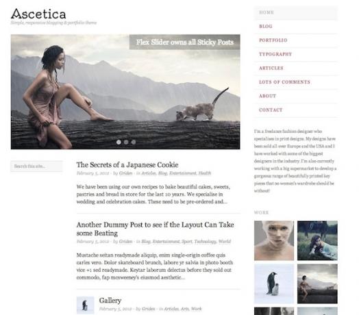 Wordpress teme portfelja