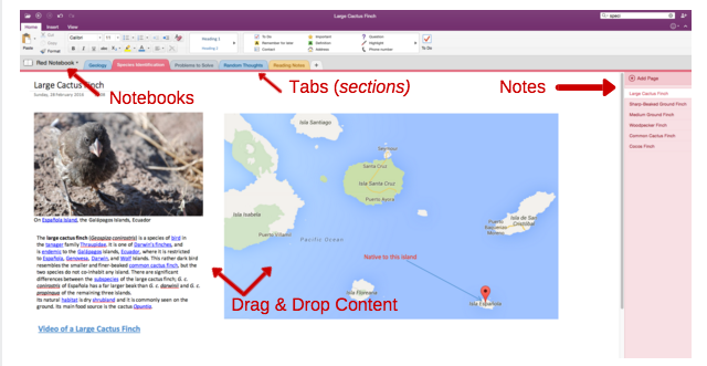 Snimak zaslona organizacije OneNote Organisation