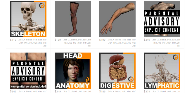 3D-anatomije-modeli-cgstudio