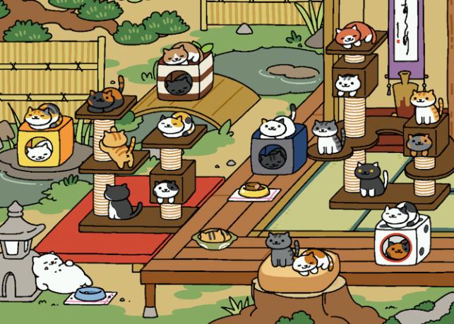 neko atsume