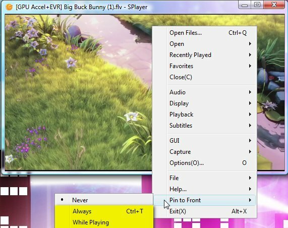 Splayer - prijenosni Play-All Media Player za Windows 8b