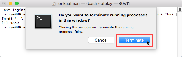 Kliknite Terminate za postupak u prozoru Terminal na Macu